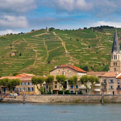 Vineyards in the Cote du Rhone France